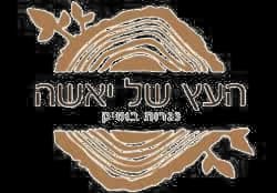 העץ של יאשה